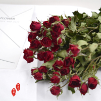 云南干花蔷薇干花多头钻石小玫瑰客厅、办公室等装饰花材|霓虹泡泡40朵