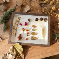 创意手工相架diy干花北欧标本立体相框加冲洗照片6寸小摆台横竖|棕褐色 16k[挂摆两用]19*26.5