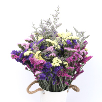 云南天然风干花束勿忘我论斤卖天然真花干花大花束装饰摆件|四色勿忘我配情人草2斤