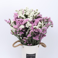 云南天然风干花束勿忘我论斤卖天然真花干花大花束装饰摆件|双色勿忘我2斤