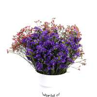 云南天然风干花束勿忘我论斤卖天然真花干花大花束装饰摆件|紫色勿忘我配水晶草2斤