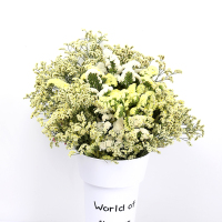 云南天然风干花束勿忘我论斤卖天然真花干花大花束装饰摆件|黄白勿忘我配水晶草2斤