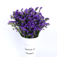 云南天然风干花束勿忘我论斤卖天然真花干花大花束装饰摆件|紫色勿忘我2斤