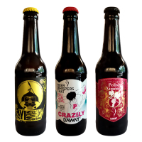 进口啤酒西班牙进口精酿福袋未知的精酿盲盒送多瓶尝鲜勿许愿