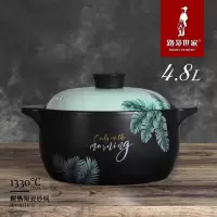 云南路易世家砂锅煲YBN-H48