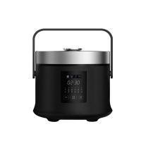 云南喜家尤物电饭煲(WJ300-16Y10)