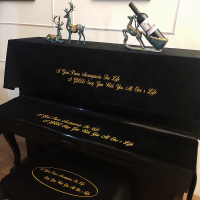 北欧式钢琴防尘全批半罩键盘盖巾套布现代简约美立韩式轻奢电丝绒|刺绣款-琴语新语-黑色 单独双人凳子罩