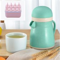 宝宝婴儿迷你小型手动榨汁机家用水果手摇榨汁器豆浆机果D6|绿色企鹅(加厚)+方形棒冰模具