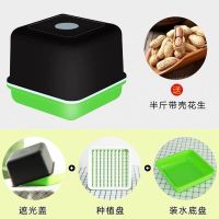 花生芽发芽神器水培花生芽种植专用盘豆苗育苗箱种子籽机豆芽菜罐|三件套1个+半斤带壳花生