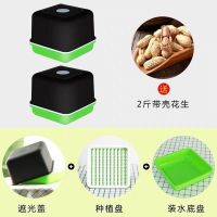 花生芽发芽神器水培花生芽种植专用盘豆苗育苗箱种子籽机豆芽菜罐|三件套2个+2斤带壳花生