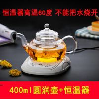 耐热高温玻璃花茶壶透明玻璃煮茶壶水果茶具冲茶器Y7|400ml花茶壶+恒温器