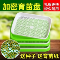 豆芽菜育苗盘豆苗种植芽苗菜盆家用水培蔬菜无土栽培神器纸上种菜Q4|8个加密盘