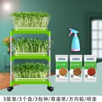 豆芽菜育苗盘豆苗种植芽苗菜盆家用水培蔬菜无土栽培神器纸上种菜Q4|3层架/3加密盘/3种/轮/壶