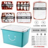 收纳箱塑料特大号家用衣服 笑脸薄荷绿[特厚升级款]--套餐更实惠 推荐套餐250#L+250#L[巨无霸2件套]超省钱!