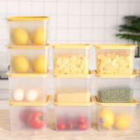 家用冰箱收纳盒水果盒五谷杂粮装盒子厨房收纳盒密封冷冻盒子 10个装