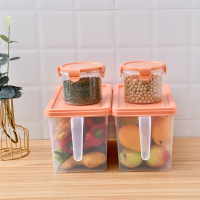 冰箱收纳盒食品保鲜长方形带手柄蔬菜抽屉式塑料储物整理盒鸡蛋盒 5L北欧橘套装（5L+600ML）各两个