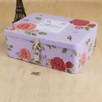 密码带锁收纳盒储物盒小型半岛铁盒盒子钥匙马口铁迷你铁皮的 百花齐放(大号)