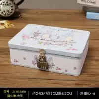 复古马口铁盒子带锁收纳盒密码盒桌面ins储物首饰盒化妆收纳铁盒 荧光绿猫头鹰大号