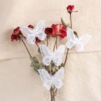 双层蝴蝶夹四个|珍珠编发带发绳链条脏辫发饰珍珠苏蝴蝶发夹头饰