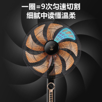 电风扇落地扇家用台立式静音遥控扇宿舍摇头工业大风力