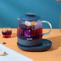 养生壶办公室小型mini煮花茶器小家用1人多功能迷你玻璃壶|蓝色+茶篮