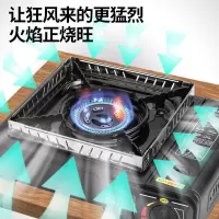 卡式炉户外便携卡斯烧烤炉家用炉具野炊卡磁炉煤气瓦斯炉子燃气灶|双用炉+手提箱