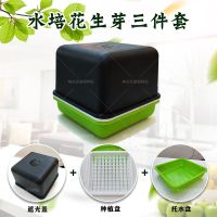 种花生芽发芽神器水培箱种植盒专用盘豆苗育苗盆种子籽机豆芽菜罐|3套新款水培花生盒送说明