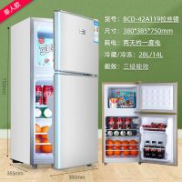 三门节能小型冰箱家用迷你租房电冰箱双门冷冻冷藏十年保修I5|42A119银色双门标准款