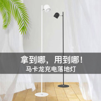 台湾安宝北欧ins风充电台灯客厅卧室无线充插两用护眼落地灯