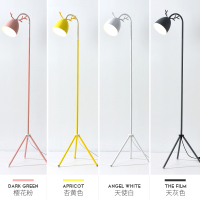 北欧落地灯护眼卧室房间宿舍女生可爱粉色温馨创意马卡龙台灯