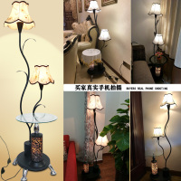 落地灯客厅 沙发茶几灯卧室温馨书房立式北欧创意台灯