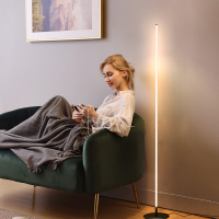 立式台灯落地灯卧室北欧ins风客厅极简创意个性网红床头灯