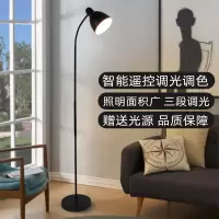 北欧落地灯客厅卧室书房简约护眼可调光网红遥控立式台灯