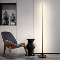 极简创意落地灯 卧室客厅氛围北欧简约立灯ins风立式台灯