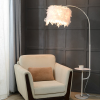 羽毛落地灯 卧室公主ins风少女网红北欧钓鱼灯客厅茶几台灯床头灯