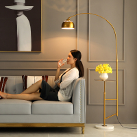 沙发边落地灯客厅卧室钓鱼灯ins风北欧极简创意茶几台灯一体