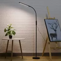 遥控落地灯ins风台灯美容灯极简美睫灯护眼超亮卧室纹绣专用灯