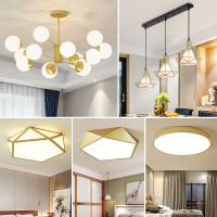 客厅吊灯家用网红卧室套装灯具组合全屋套餐北欧魔豆灯饰