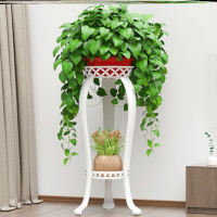 多肉阳台花架户外置物架多功能组合客厅绿萝花架子花盆架室内女孩