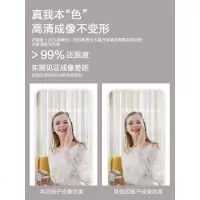 嘉卉 全身镜女穿衣镜壁挂粘贴家用卧室少女试衣镜学生宿舍镜子贴墙自粘