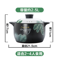 陶瓷煲大号家用耐高温砂锅汤锅炖锅明火燃气专用|2.5L热带风情煲