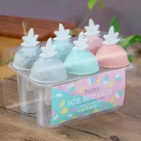 雪糕模具冰激凌冰棒冰棍冰格冰块冰糕做冰淇淋棒冰的模具家用|六组菠萝冰膜