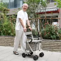 老年代步车折叠可坐四轮老人助力手推车家用买菜可推小拉车|双轮普通款-白色
