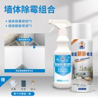 墙壁白墙体强效发霉除霉剂多功能卫生间家用除霉啫喱去霉神器|[墙体组合]除霉剂+自喷漆