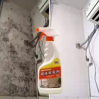 墙体霉斑清除剂墙体除霉王喷剂墙面除霉剂克霉王去霉剂|一瓶装