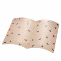 粘蝇纸粘飞颜色随机胶笼灭苍蝇苍蝇贴蚊虫板驱沾黏苍蝇捕蝇器强力|10片装