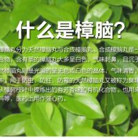 樟脑丸防霉蟑螂防潮驱虫干燥剂衣橱挂式衣柜家用樟脑盒除湿卫生球|灰色1个
