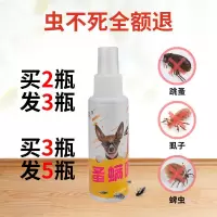 虱子除蜱虫宠物用品跳蚤药狗狗体外杀虫剂驱虫药去|杀虫1瓶装[拍2发3拍3发5]