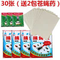 粘飞蚊虫板饭店强力沾苍蝇胶灭苍蝇贴粘蝇纸驱捕蝇神器苍蝇药家用|30张(送2包苍蝇药)