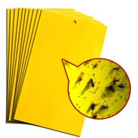 诱虫板蔬菜大棚粘虫板灭小飞虫特粘双面粘虫板茶园花果树粘虫黄板|试用装20张（20*10覆膜黄板）